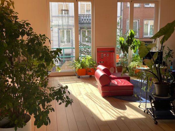 Maison de charme dans le centre de Bruxelles avec un magnifique jardin, très lumineux