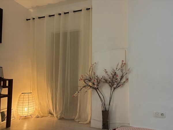 La maison de Alexandra  grand et long balcon vue sur la tour eiffel , champs elysees transport +++++