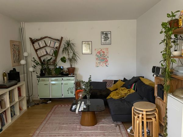 Spacieux appartement dans le haut Belleville à proximité des Buttes Chaumont