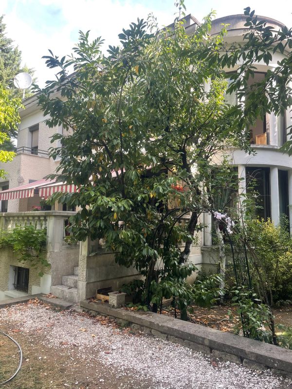 Belle maison art déco à 7 mn de Paris dan sun écrin de verdure