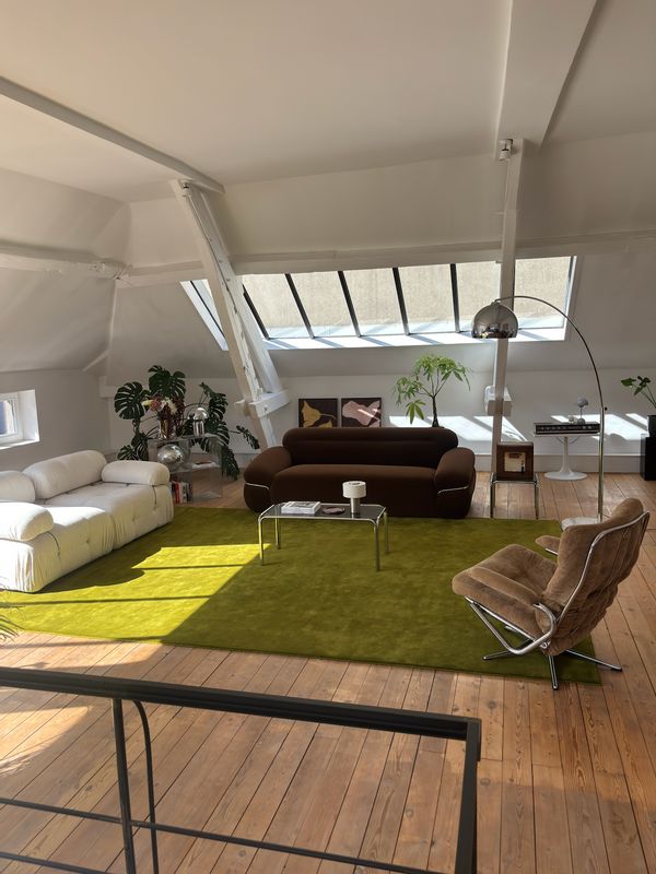 Loft Bruxellois lumineux