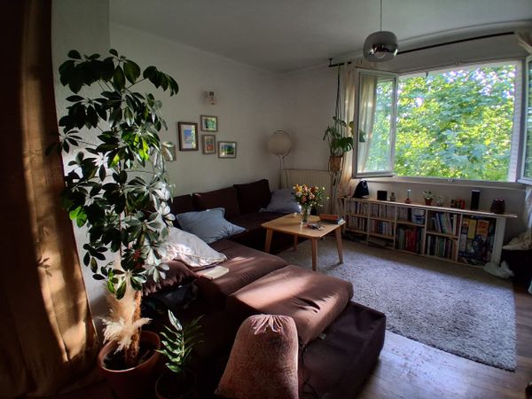 La chambre privée, petit cocoon végétalisé d'Alice <3