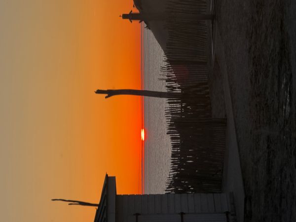 Le Bungalow "CAL 112" entre la pinède et les dunes à quelques pas de l'océan