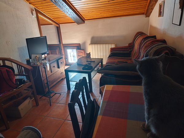 La maison de David