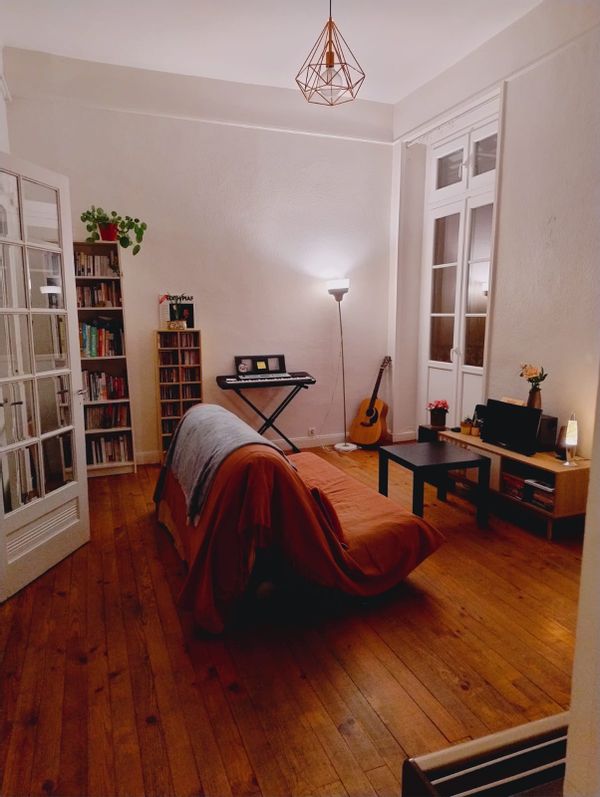 1 big and lovely flat in the heart of Lyon