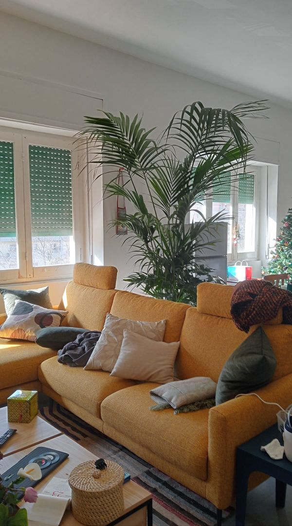 La maison de Laura