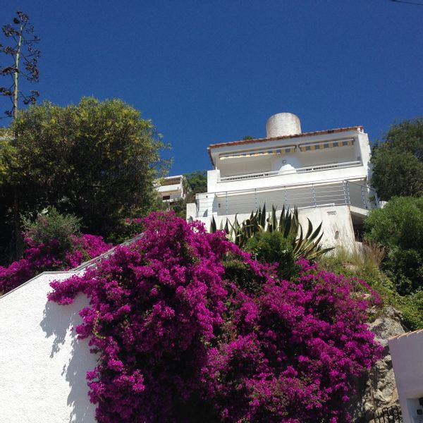 Maison terrasse sur la mer