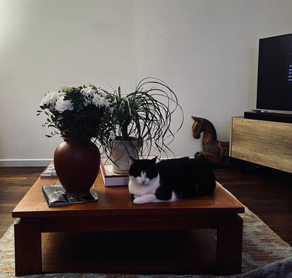 Maison familiale avec grand jardin dans une banlieue calme proche de Paris