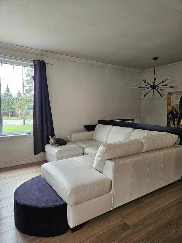 Maison 4 chambres avec immense terrain à la campagne