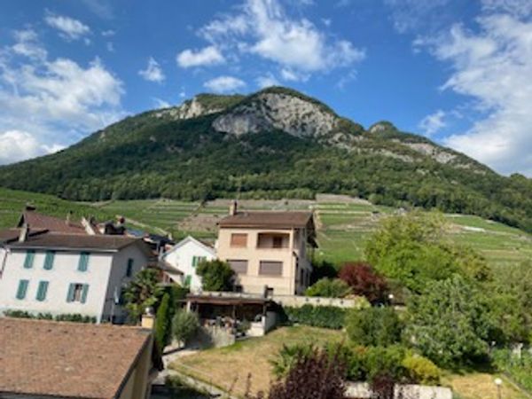 maison au bord de la rivière, Accès possible depuis le rez  Avec vue  sur les dents du midi