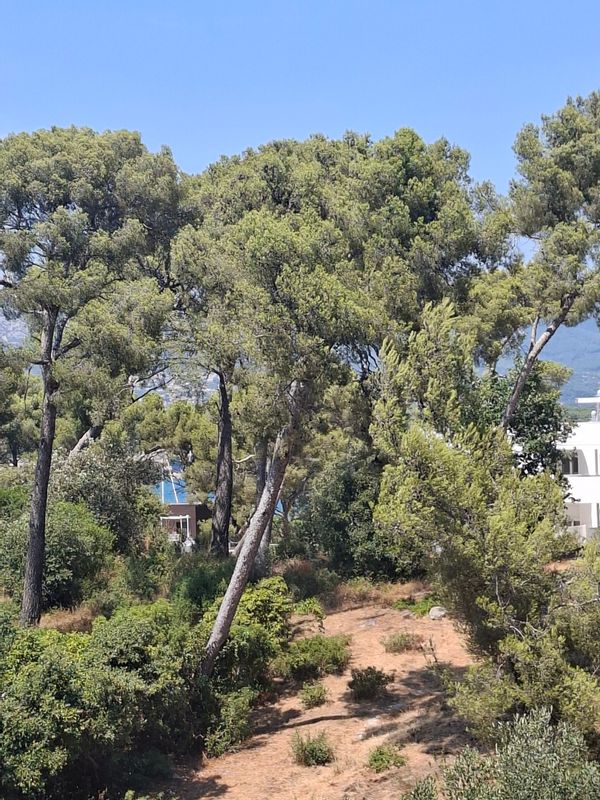 La maison de Anaïs