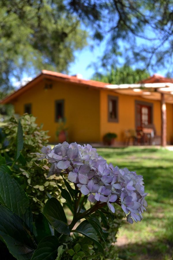 La maison de Mariana