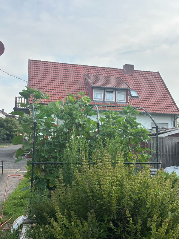 La maison de Mieke