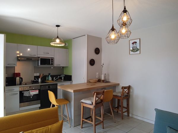 Appartement cocon avec grand jardin à deux pas de Pau