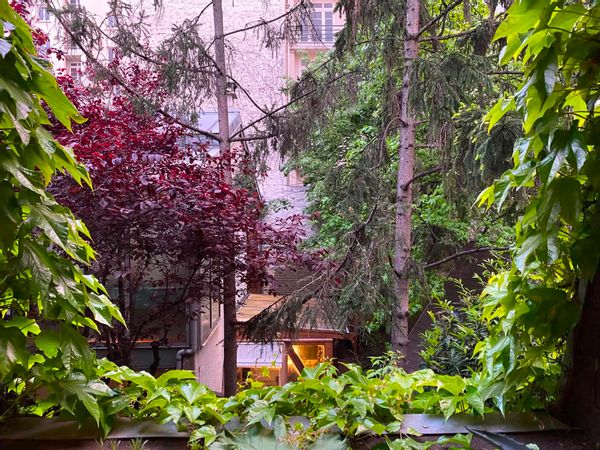 L'appartement des plantes
