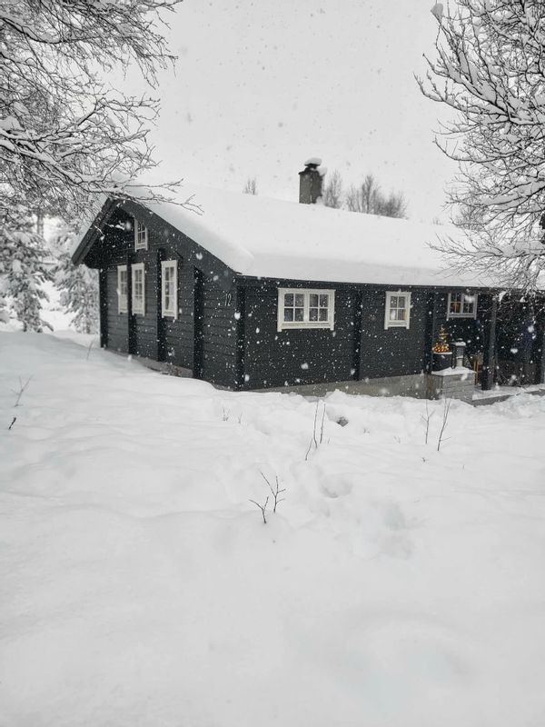 La maison de Lars