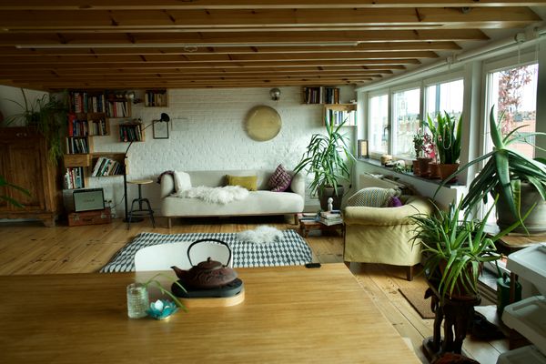 l'appartement d'Alice sous les combles