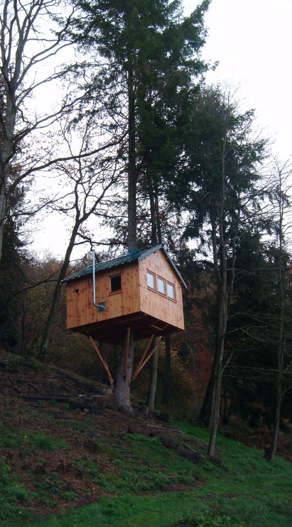 La  cabane perchée dans l'arbre