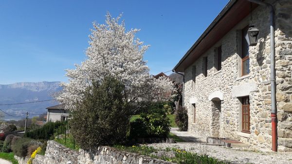 Jolie maison en pierre à 600m d'altitude