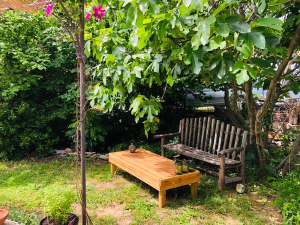 Maison avec jardin pour profiter des Cevennes