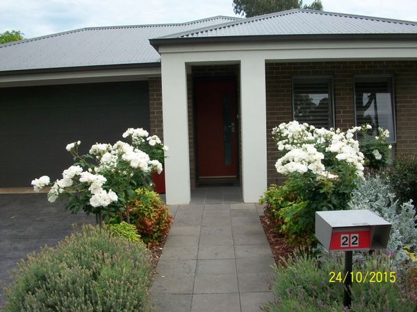La maison de Bev and Lester
