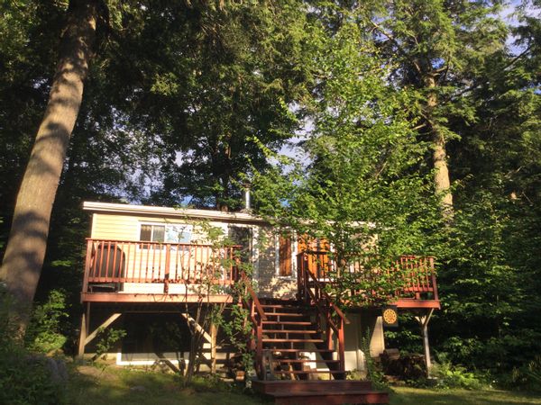 Le chalet sous les arbres