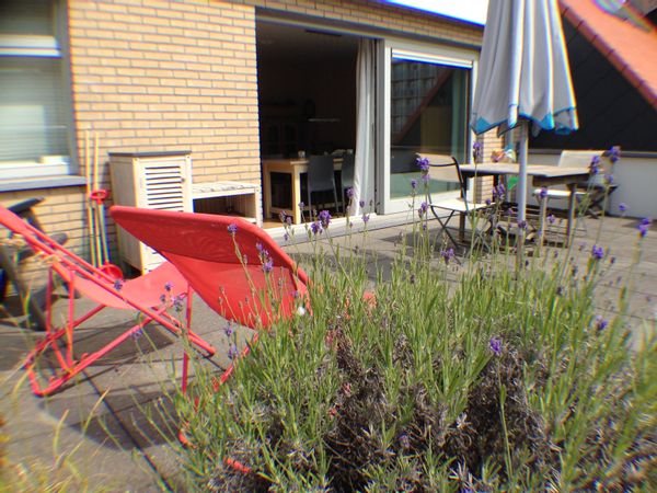 Penthouse à Nieuport sur mer