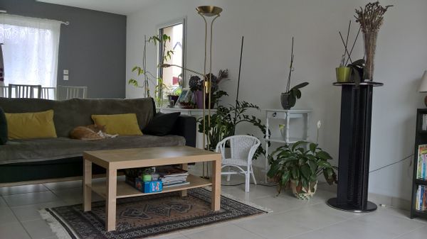 Campagne proche Nantes et côte atlantique