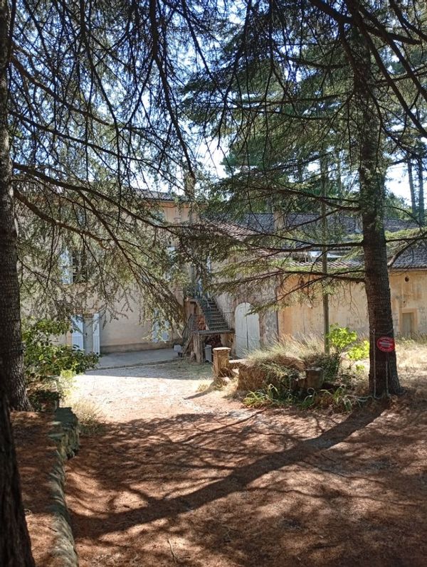 la maison du chat bleu