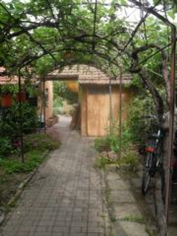 La maison de mara sternini