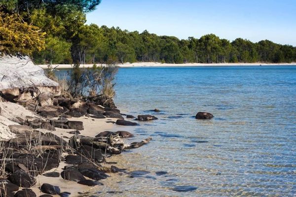 Le petit Paradis « À 20 m de Biscarrosse et Arcachon »