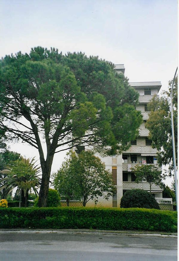 La maison de Elisa