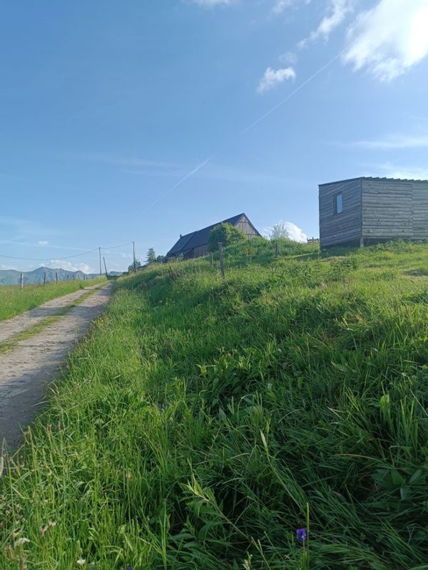 Carab'ane du Guery : micro-gite autonome avec vue sur le massif du Sancy
