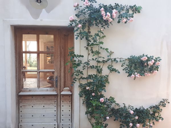 La maison de Jess & Thibault- Provence- Sud Luberon