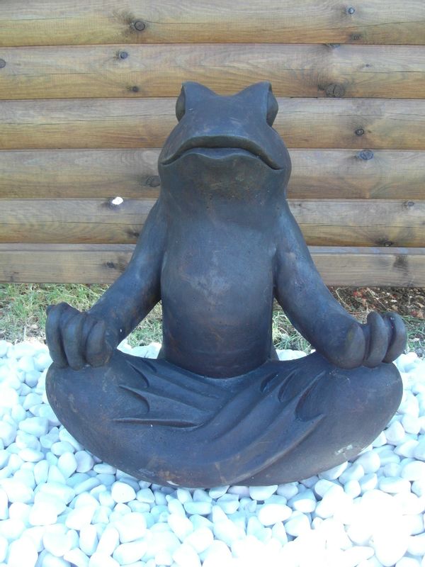 La Grenouille Zen