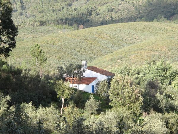 La maison de Mar