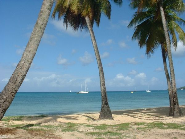 VILLA TROPICALE F5 BORD DE MER