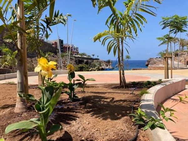 tenerife vue sur mer