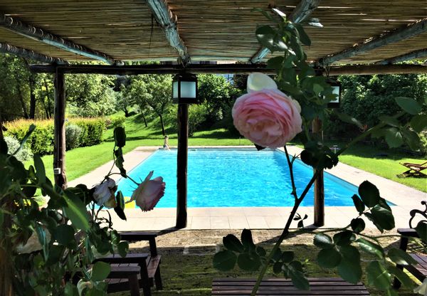 La maison de Aneta Wioletta