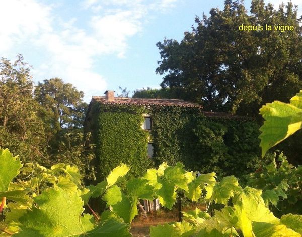 Mas in Luberon region, Provence (no swimming pool!) NO Guest Points
