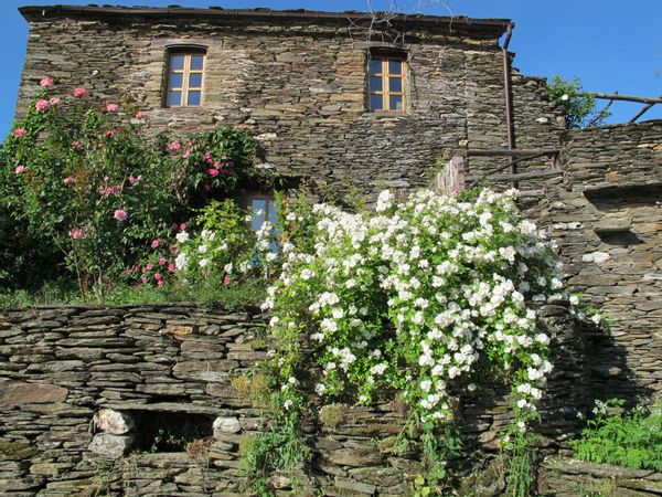 Chambre d'hôte en Cévennes, Saint-Germain-de-Calberte, France