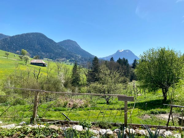 Maison dans la verdure au calme Massif des Bauges