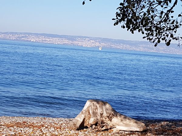 Entre Lac et montagnes