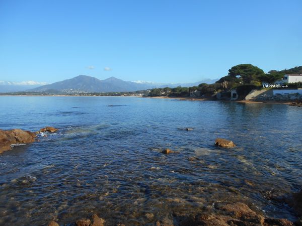 Appartement les pieds dans l'eau