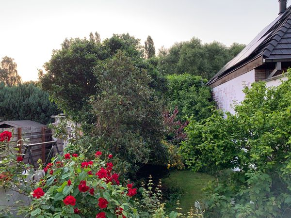 La maison d'Eli