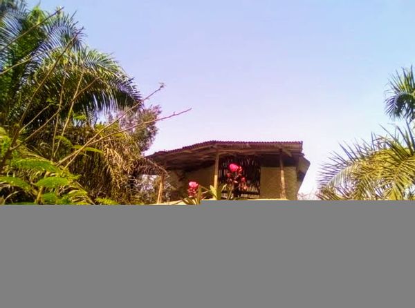 La maison de Bernadette
