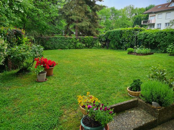T3 en rez de jardin à Annecy