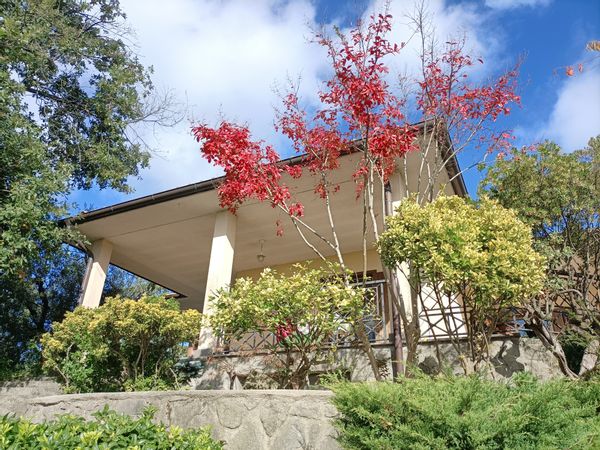 La maison de Elvira