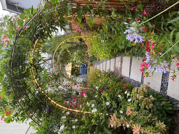 La maison de Dorothy