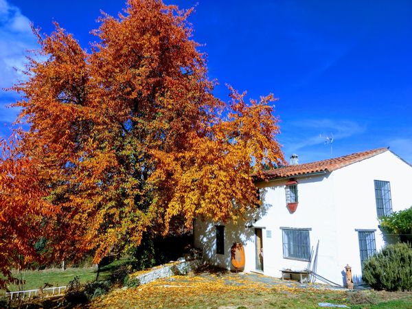 La maison de Manu